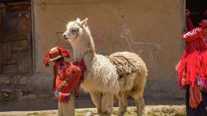 Cusco and Puno (7 Days)