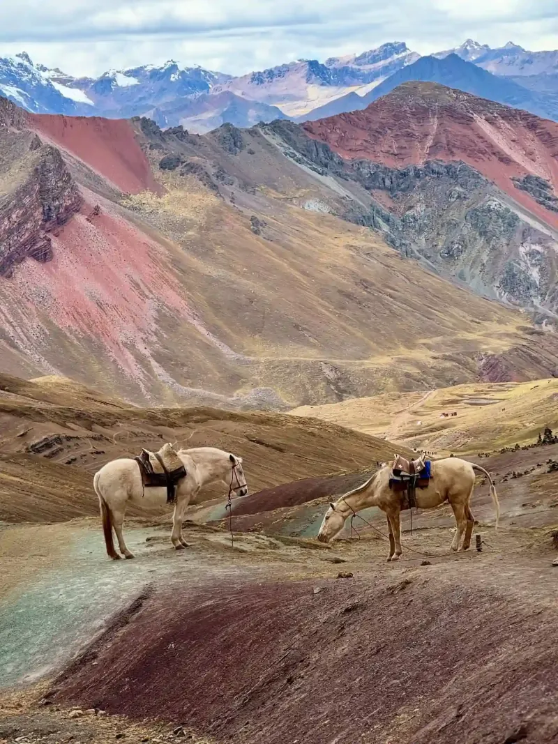 Montanha-Colorida-Peru4-24
