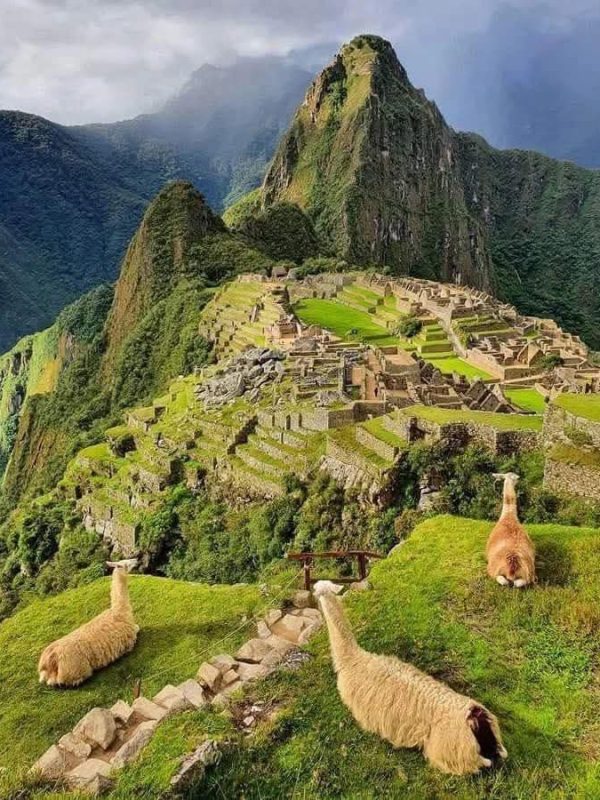Machu Picchu (11)