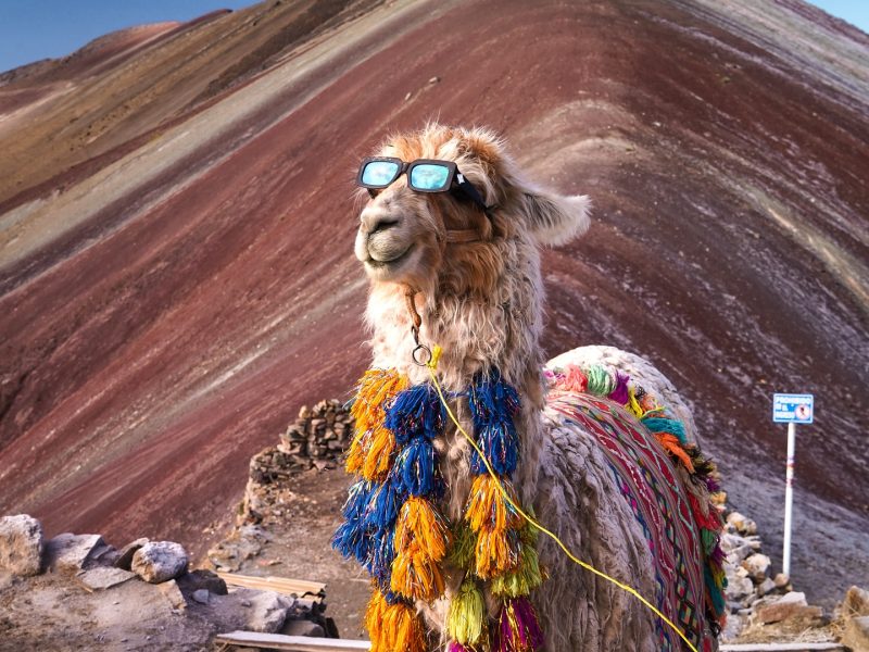Montanha Colorida Peru4 (7)