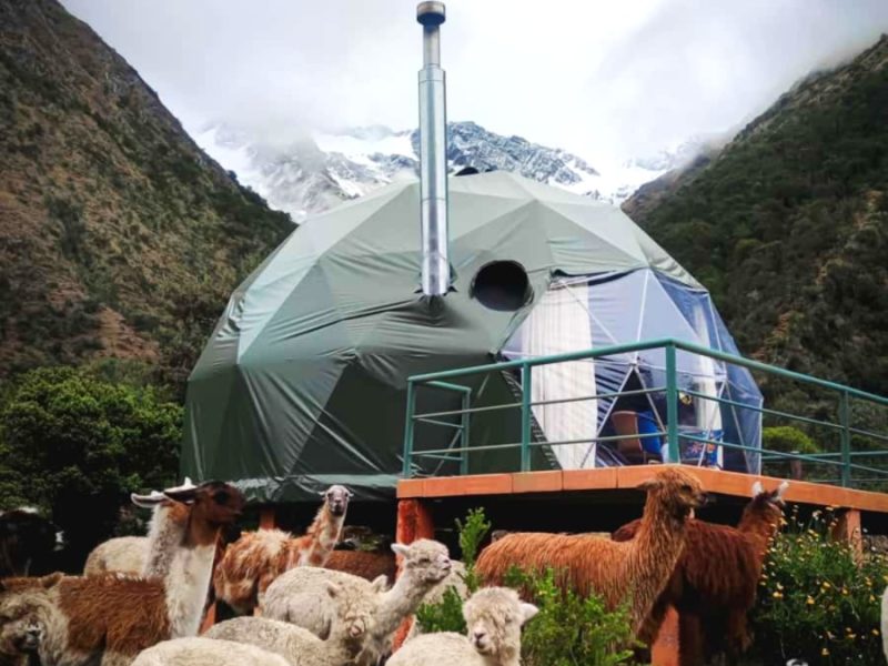 O Domus Peru
