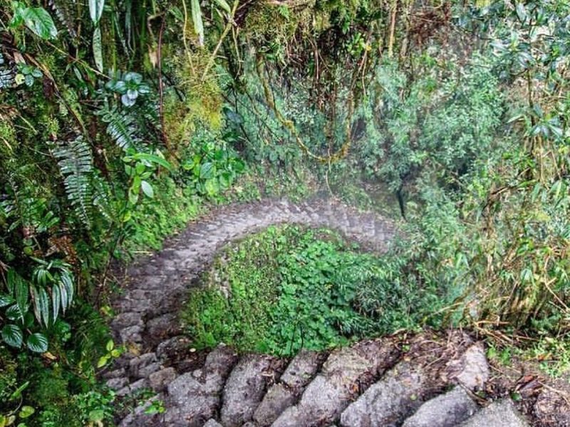Trilha Inca (17)