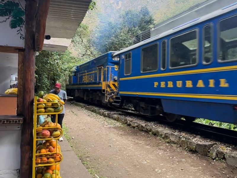 Trilha Inca Jungle (6)